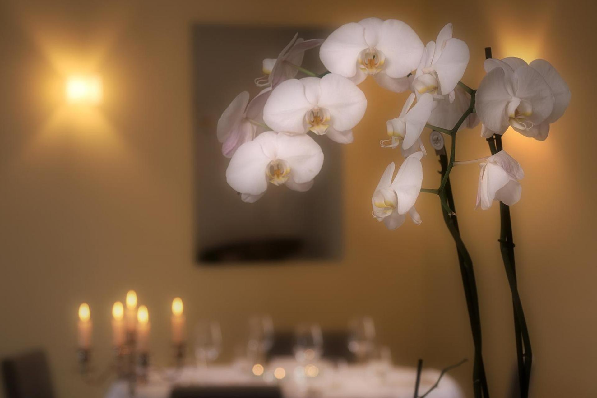 Ristorante Charme Hotel Tre Terre Ponte Brolla Dış mekan fotoğraf
