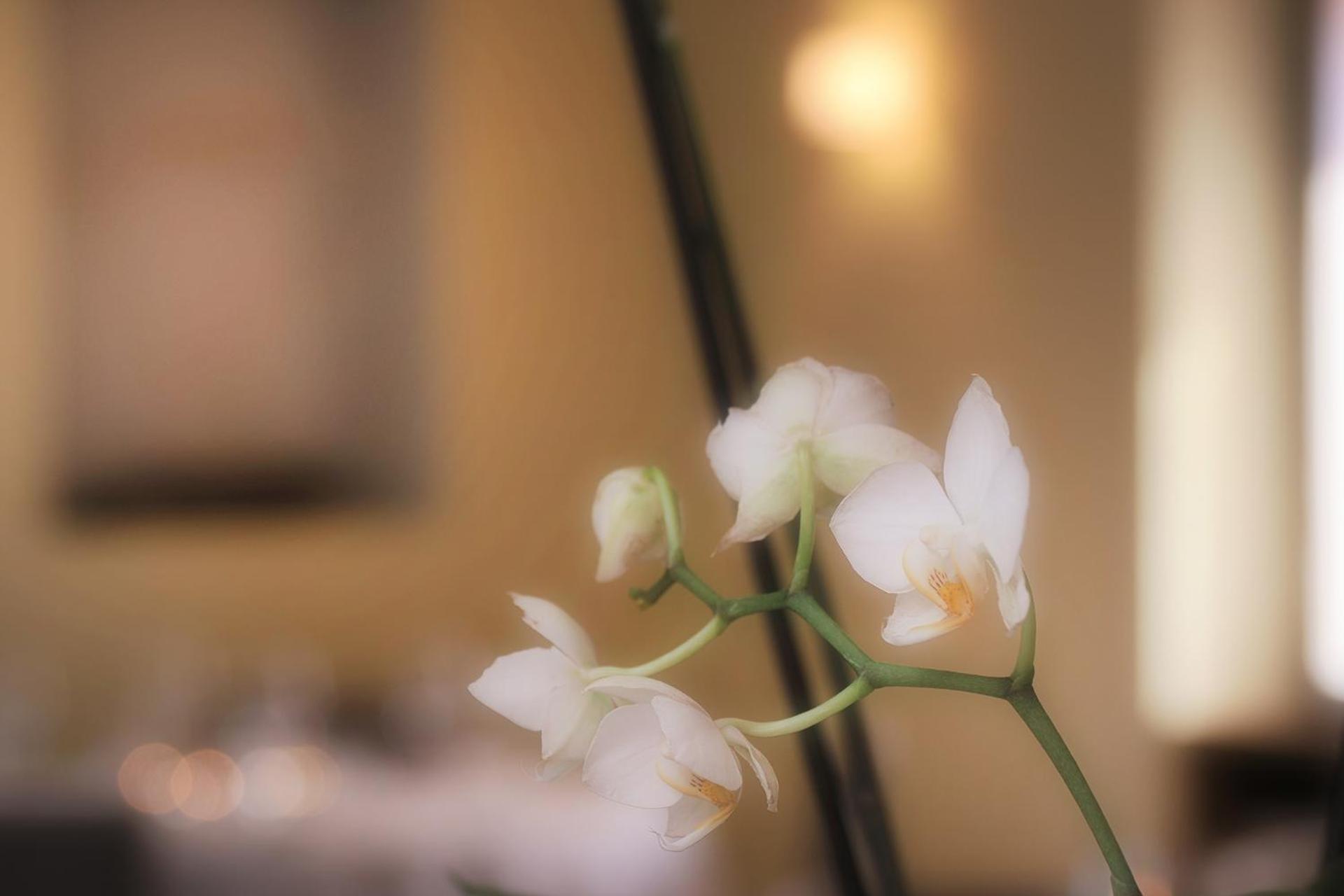 Ristorante Charme Hotel Tre Terre Ponte Brolla Dış mekan fotoğraf